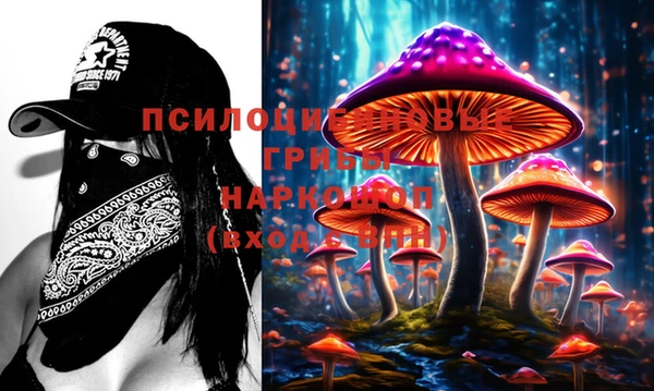 ГАЛЛЮЦИНОГЕННЫЕ ГРИБЫ Армянск