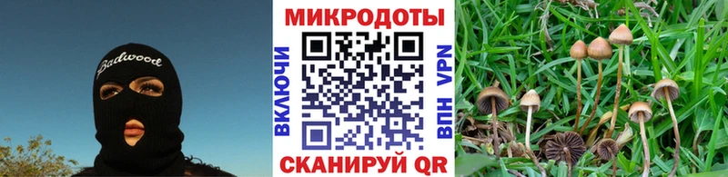 Галлюциногенные грибы мухоморы  Себеж 